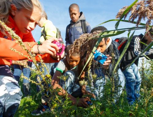 KidzKlix: fotograferen in de natuur