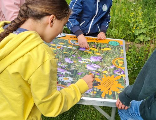 Groene Belevenis: Klimaat Doedag in Leusden